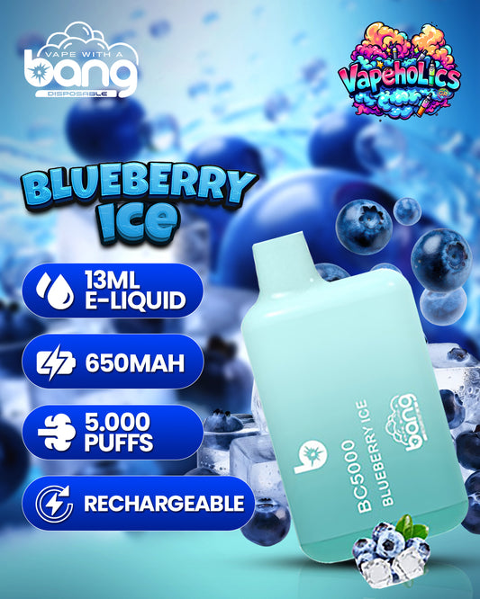 BLUEBERRY ICE - 5.000 PUFFS